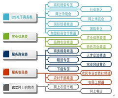 中國農(nóng)業(yè)信息網(wǎng)商務(wù)版運(yùn)營(yíng)模式探索 構(gòu)建數(shù)字化農(nóng)業(yè)服務(wù)新生態(tài)